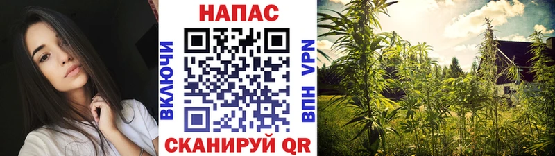 Марихуана THC 21%  купить наркоту  Магадан 